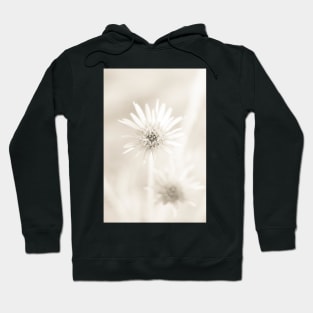 White Flowers on a white background Hoodie